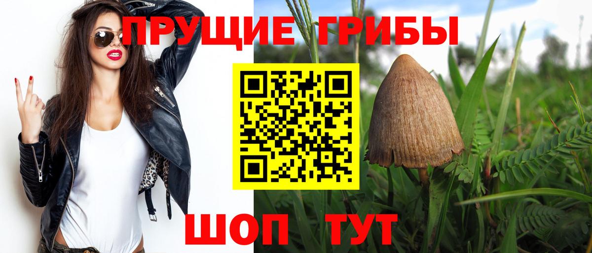 Кулебаки  Псилоцибиновые грибы мухоморы  где купить   Вход с VPN 